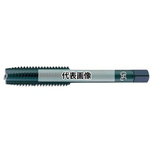 緑であること活動の領域