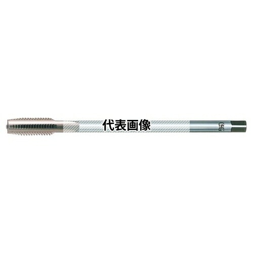緑であること活動の領域