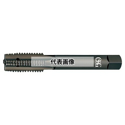 緑であること活動の領域