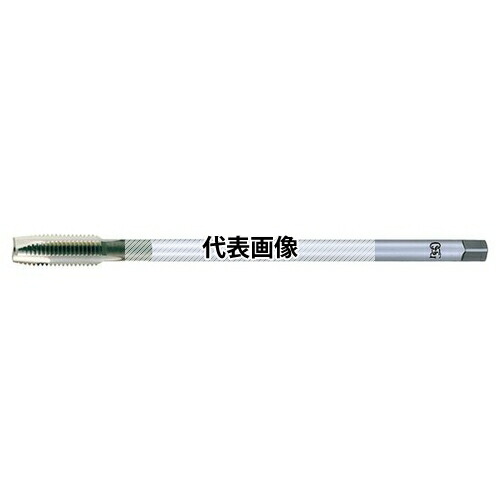 緑であること活動の領域