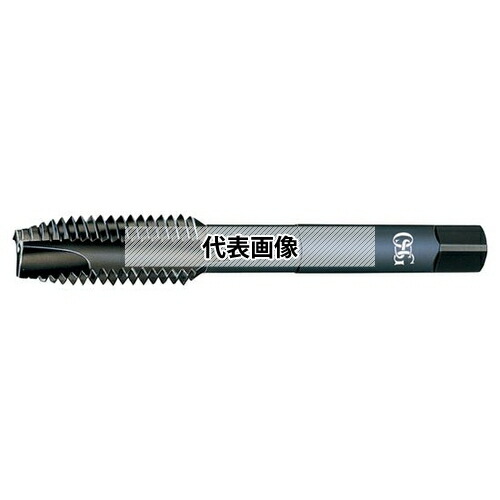 緑であること活動の領域