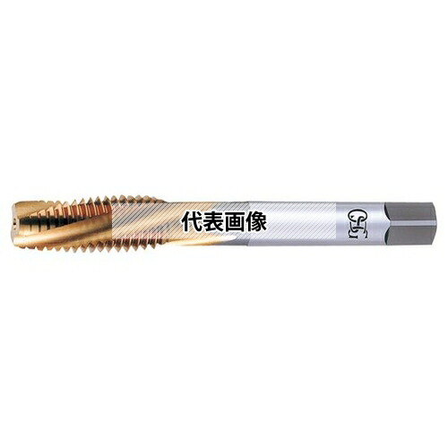 緑であること活動の領域