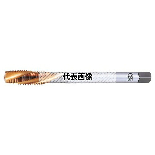 緑であること活動の領域