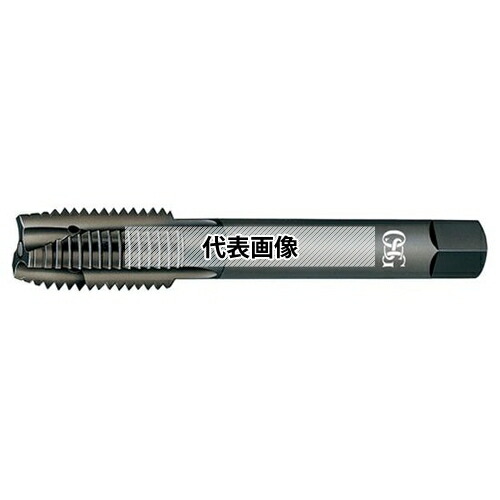 緑であること活動の領域