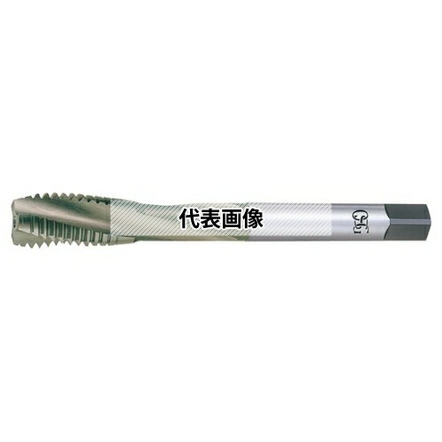 緑であること活動の領域