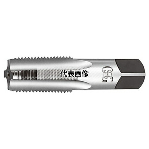 緑であること活動の領域