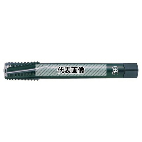 緑であること活動の領域