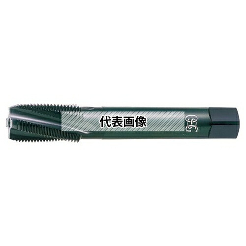 緑であること活動の領域
