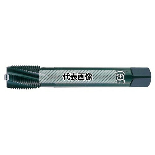 緑であること活動の領域