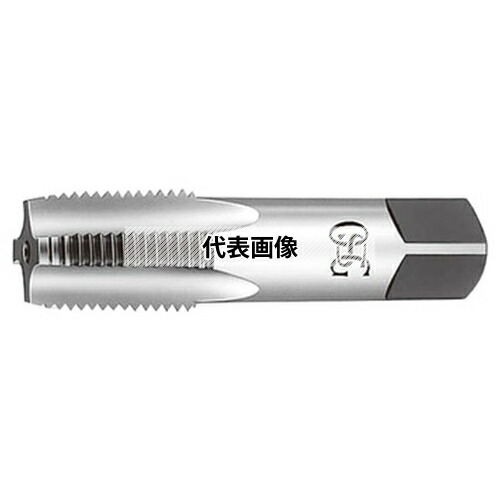 緑であること活動の領域