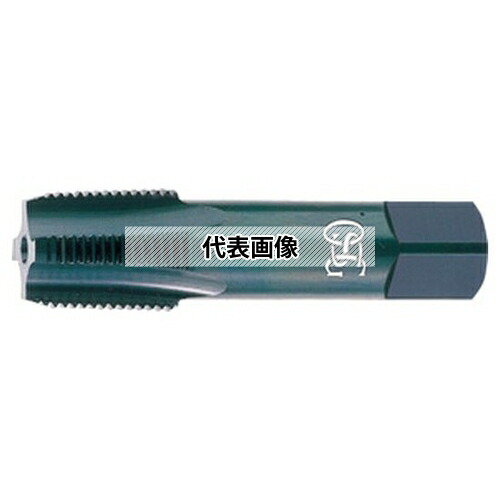 緑であること活動の領域