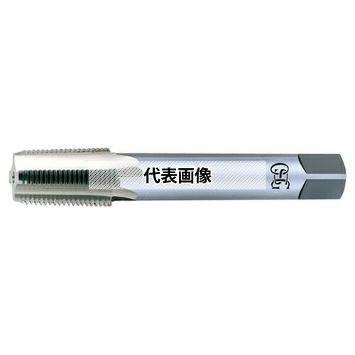 緑であること活動の領域
