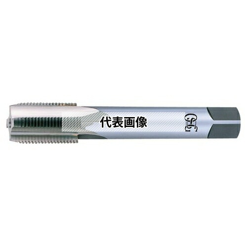緑であること活動の領域