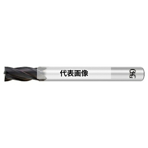 緑であること活動の領域 花・ガーデン・DIY-エンドミル-DIY・工具