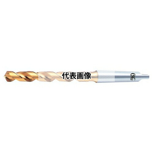 緑であること活動の領域