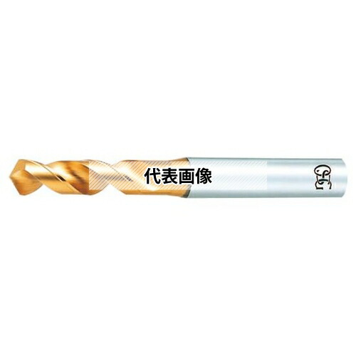 緑であること活動の領域
