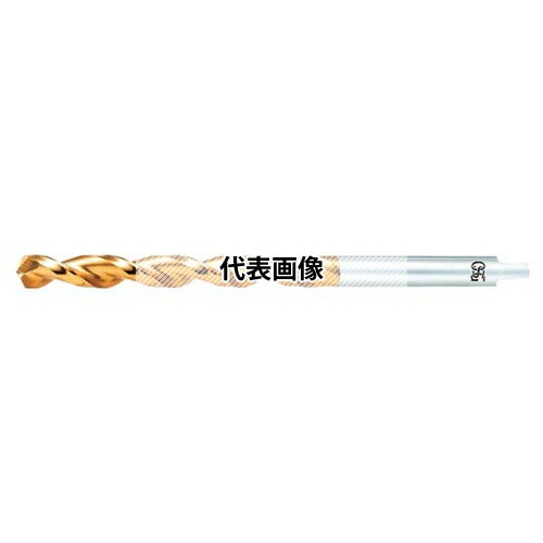 緑であること活動の領域