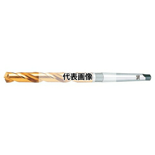 緑であること活動の領域