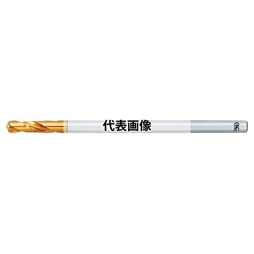緑であること活動の領域