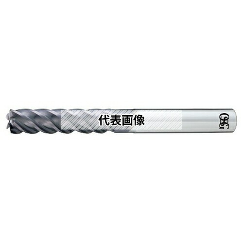 緑であること活動の領域