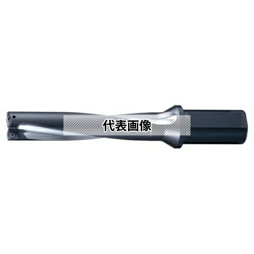 緑であること活動の領域 ドリル-穴あけ工具用アクセサリー-電動・エア工具用アクセサリー