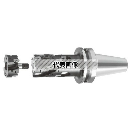 緑であること活動の領域