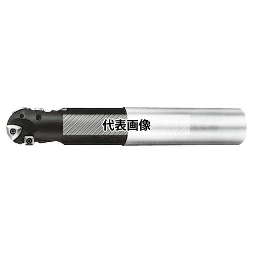 緑であること活動の領域