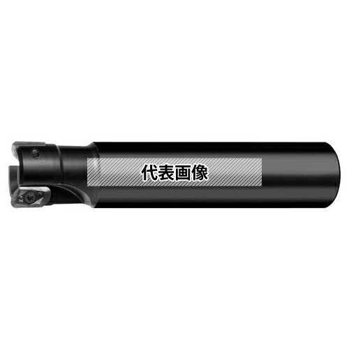 緑であること活動の領域