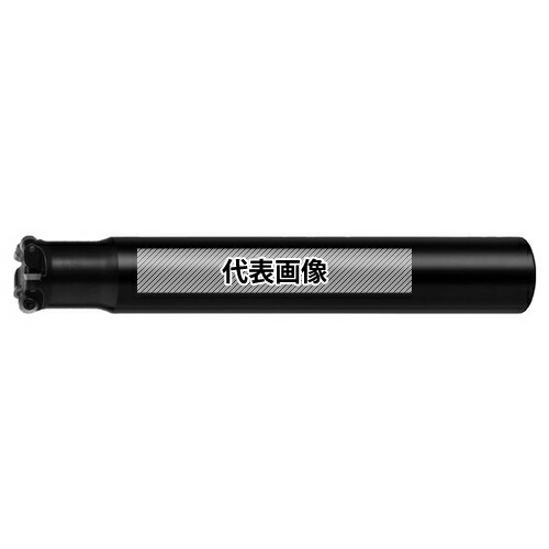 緑であること活動の領域
