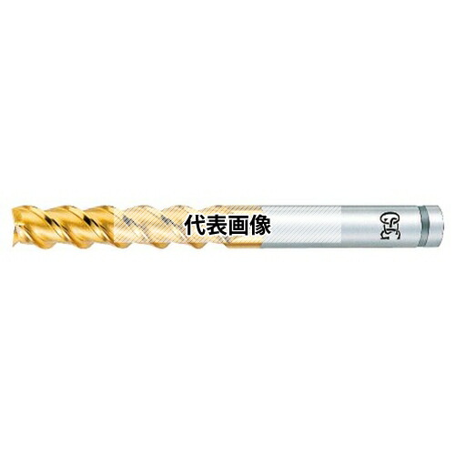 緑であること活動の領域
