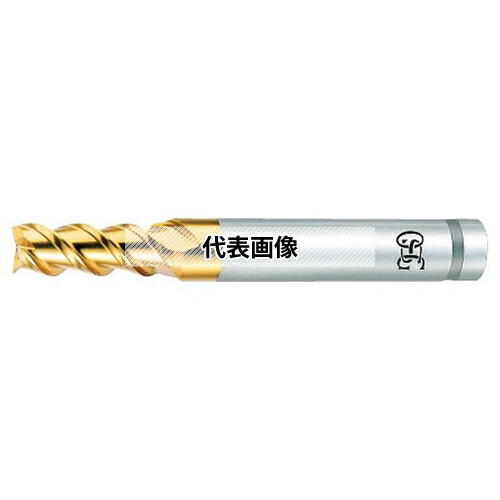 緑であること活動の領域