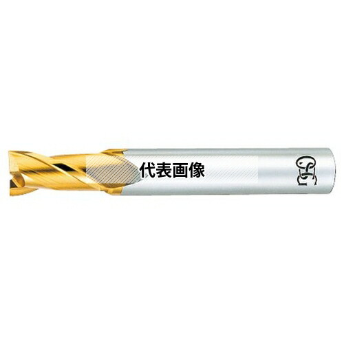 オーエスジー(OSG) TiNコーティング ハイスエンドミル 2刃 EX-TIN-EDS EX-TIN-EDS 28 (88038) 16,280円