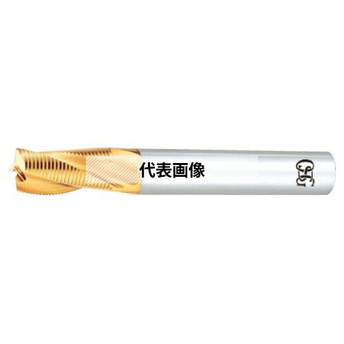 緑であること活動の領域