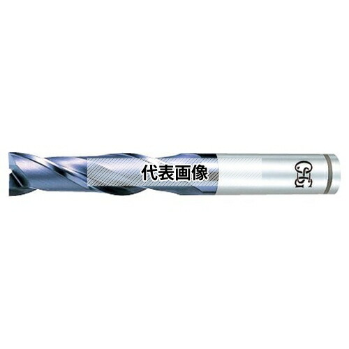 緑であること活動の領域