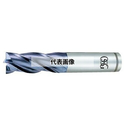 緑であること活動の領域