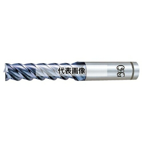 緑であること活動の領域