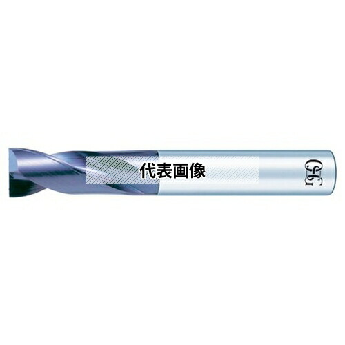 緑であること活動の領域