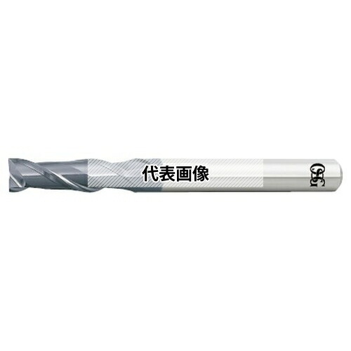緑であること活動の領域