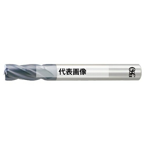緑であること活動の領域