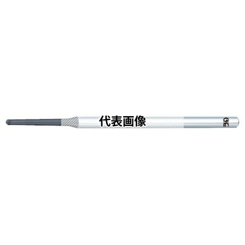 緑であること活動の領域