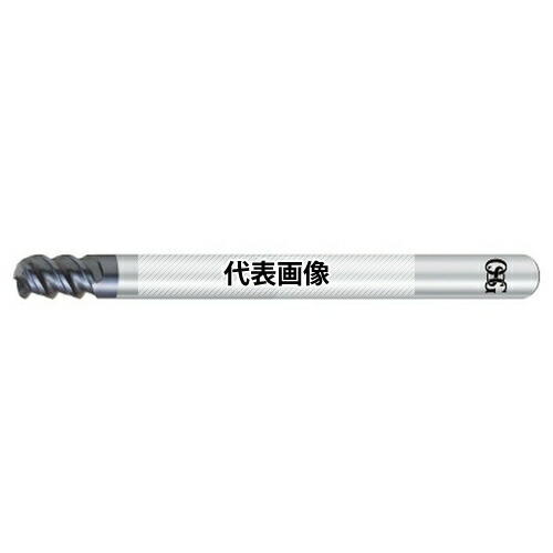緑であること活動の領域