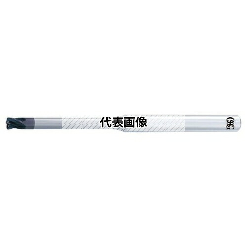 緑であること活動の領域