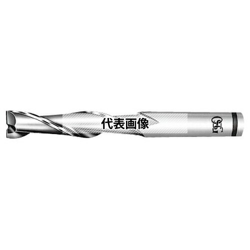緑であること活動の領域