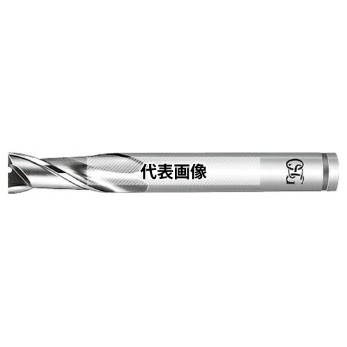 緑であること活動の領域