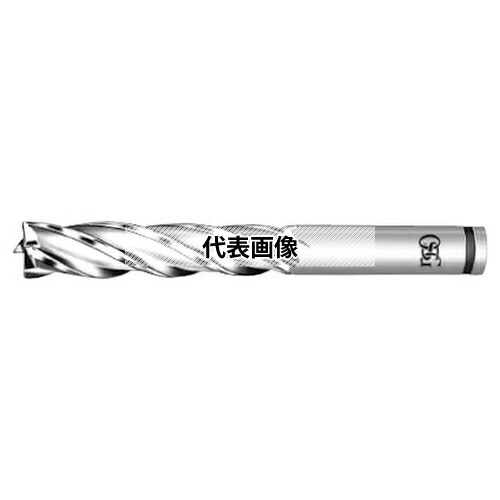 緑であること活動の領域