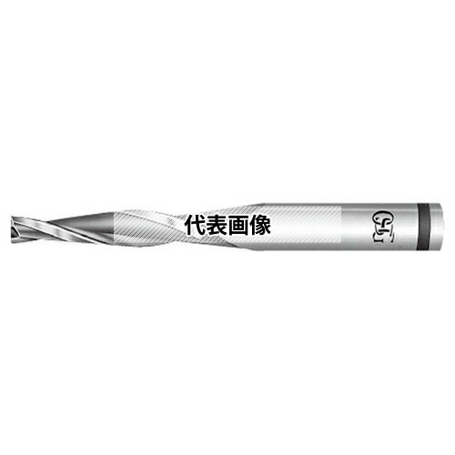 緑であること活動の領域