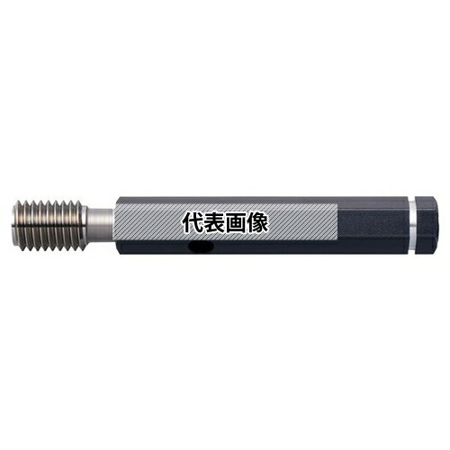 緑であること活動の領域