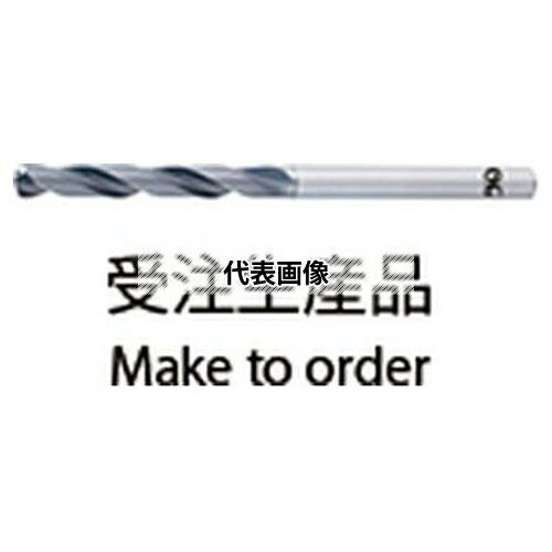 緑であること活動の領域