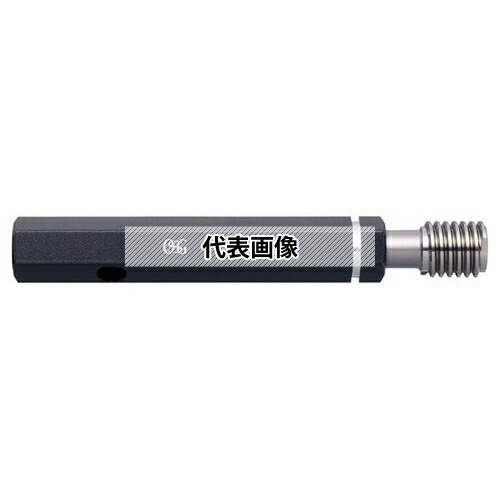 緑であること活動の領域