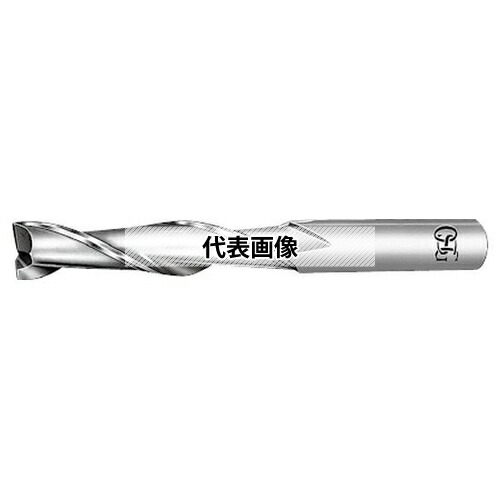 緑であること活動の領域